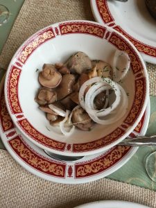 rusland paddestoelen